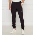 EA7 Jogger nadrág | Regular Fit
