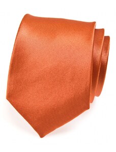 Avantgard Tégla színű férfi nyakkendő