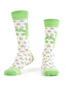 FASARDI Men's cream socks with leaf