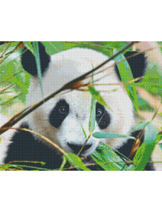 PIXELHOBBY Pixel szett 16 normál alaplappal, színekkel, panda (816181)
