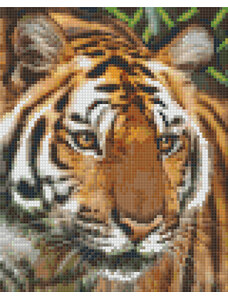 PIXELHOBBY Pixel szett 4 normál alaplappal, színekkel, nőstény tigris (804461)
