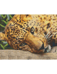 PIXELHOBBY Pixel szett 4 normál alaplappal, színekkel, fekvő leopárd (804443)