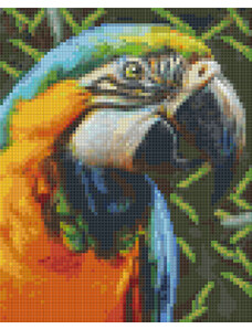 PIXELHOBBY Pixel szett 4 normál alaplappal, színekkel, papagáj (804465)