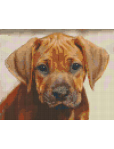 PIXELHOBBY Pixel szett 4 normál alaplappal, színekkel, kutyakölyök (804447)