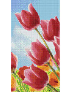 PIXELHOBBY Pixel szett 6 normál alaplappal, színekkel, tulipánok a réten (806168)