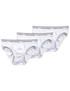 Tommy Hilfiger Underwear Slip tengerészkék / fehér
