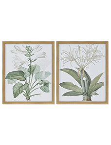Kép DKD Home Decor 43 x 3 x 53 cm Botanikus növények (2 egység)
