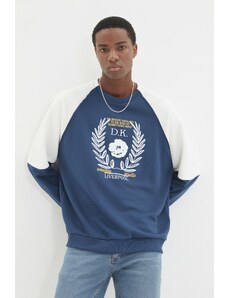 Trendyol Indigo Oversize/Wide-Fit Raglan Sleeve Color Block Printed Cotton Sweatshirt