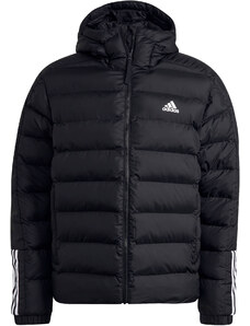 adidas Sportswear ITAVIC M H JKT Kapucnis kabát