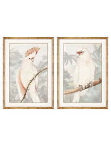 Kép DKD Home Decor Papagáj Trópusi 50 x 3 x 70 cm26 x 100 cm (2 egység)