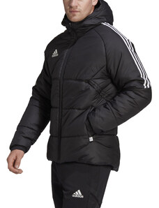 adidas adida CON22 WINT JKT Kapucni kabát
