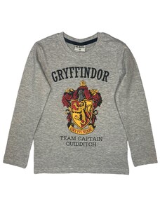 EPlus Fiú hosszú ujjú póló - Harry Potter Griffendél szürke
