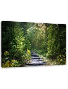 Gario Vászonkép Ösvény egy zöld erdőben Méret: 60 x 40 cm