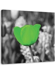 Gario Vászonkép Zöld tulipánok a réten Méret: 30 x 30 cm