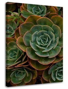 Gario Vászonkép Zöld zamatos virág Méret: 40 x 60 cm