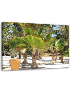 Gario Vászonkép Trópusi fák Méret: 60 x 40 cm