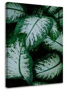 Gario Vászonkép Trópusi levelek fehér és zöld Méret: 40 x 60 cm