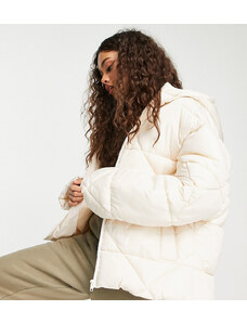 ASOS Petite ASOS DESIGN Petite quilted puffer jacket in cream-White