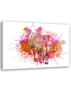 Gario Vászonkép Színes zebra akvarell - Andrea Haase Méret: 60 x 40 cm