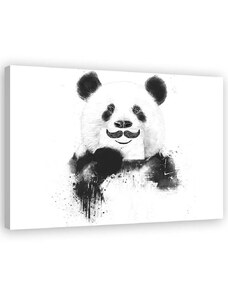 Gario Vászonkép Fekete-fehér panda - Rykker Méret: 60 x 40 cm