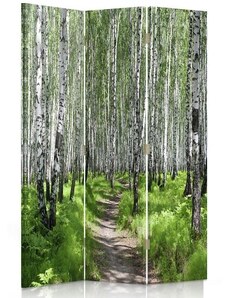 Gario Paraván Ösvény a nyírfaerdőn keresztül Méret: 110 x 170 cm, Kivitelezés: Klasszikus paraván