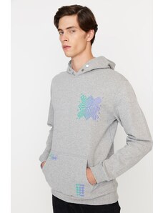 Trendyol Gray Regular/Regular Fit Hooded Printed Sweatshirt