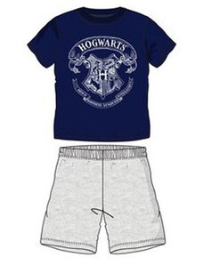 Harry Potter gyerek rövid pizsama szürke/kék 10év