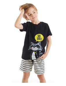 Denokids Raccoon Boy's T-shirt Shorts Set