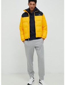 Quiksilver rövid kabát férfi, sárga, téli