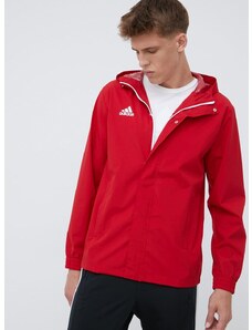 adidas Performance rövid kabát HG6299 férfi, piros, átmeneti