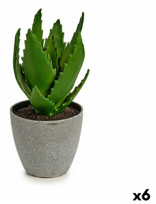 Dekor növény Aloe vera 14 x 21 x 14 cm Szürke Zöld Műanyag (6 egység)