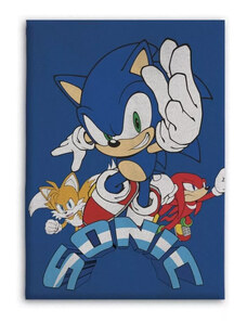 Sonic a sündisznó polár takaró blue 100x140cm