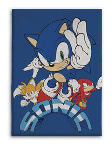 Sonic a sündisznó Coin Chase polár takaró 100x140cm