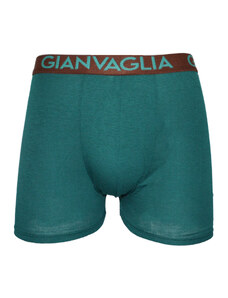 Gianvaglia Zöld férfi boxeralsó
