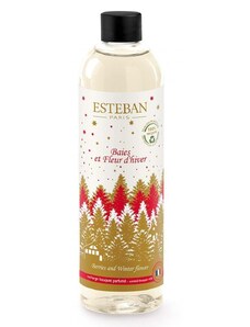 Esteban kiegészítő diffúzorhoz Berries and Winter Flower 250 ml
