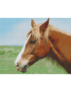jatekok-pixelhobby - PIXELHOBBY Pixel szett 4 normál alaplappal, színekkel, ló (804437)