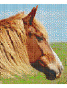 jatekok-pixelhobby - PIXELHOBBY Pixel szett 6 normál alaplappal, színekkel, ló (806154)