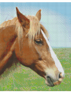 jatekok-pixelhobby - PIXELHOBBY Pixel szett 9 normál alaplappal, színekkel, ló (809378)