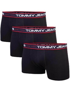 Tommy Hilfiger Jeans Woman's Underpants UM0UM029680R7