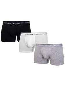 Tommy Hilfiger Man's Underpants UM0UM02203 White/Black/Grey