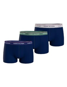 Tommy Hilfiger Woman's Underpants UM0UM016420Y0 Navy Blue