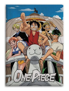 One Piece polár takaró 110x150cm