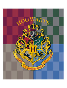 Harry Potter Hogwarts coral fleece polár takaró 120x150cm