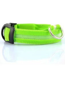 IZMAEL USBvel tölthető világító nyakörv kutyáknak-Zöld/XS KP30727