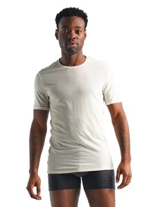 Men's T-shirt Icebreaker Anatomica SS Crewe white