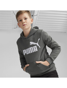 Puma ESS Big Logo Hoodie FL B gray