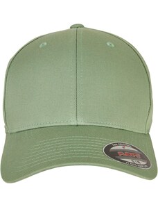 Flexfit Sapkák zöld / fekete / ezüst