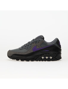 Nike Air Max 90 Iron Grey/ Wild Grape-Black-White