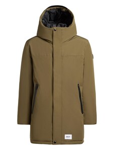 khujo Téli dzseki 'Kann2' olíva