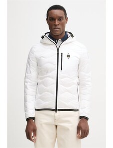 Blauer pehelydzseki WAVE